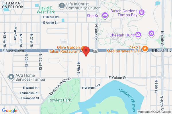 Holiday Inn Express & Suites Tampa -Usf-Busch Gardens, an IHG Hotel