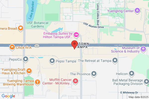 Holiday Inn Tampa North, an IHG Hotel
