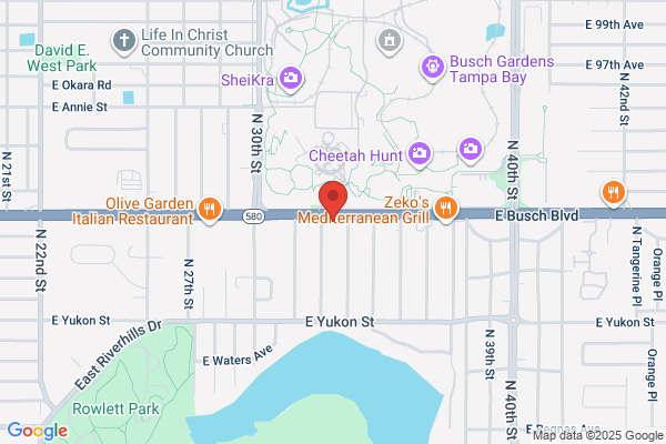 Hampton Inn & Suites Tampa Busch Gardens Area