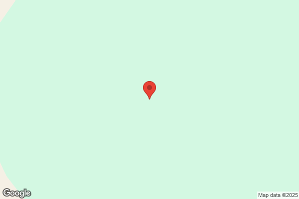 Mustard Seed Ventures Inc