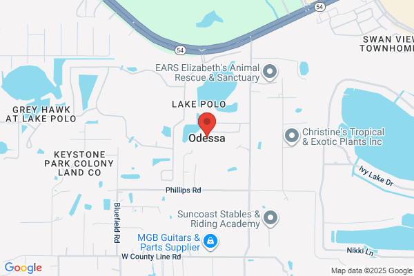 Suncoast Permit Service Inc