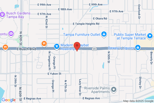 International Bulk Shipping Inc