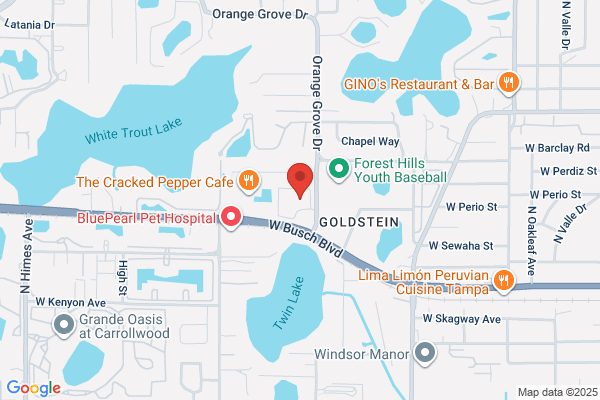 Globe Life Liberty National Division: Violand Agencies