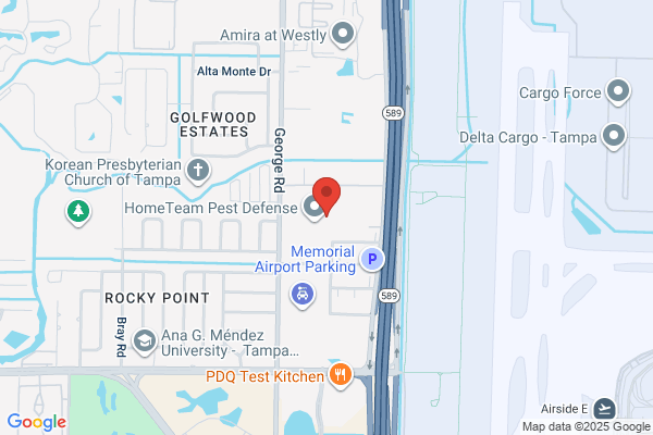 Netwolves Corporation Fl