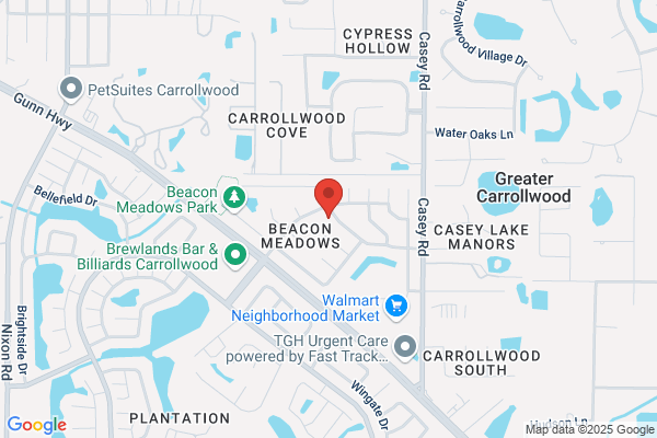 Tampa Artificial Grass Pros