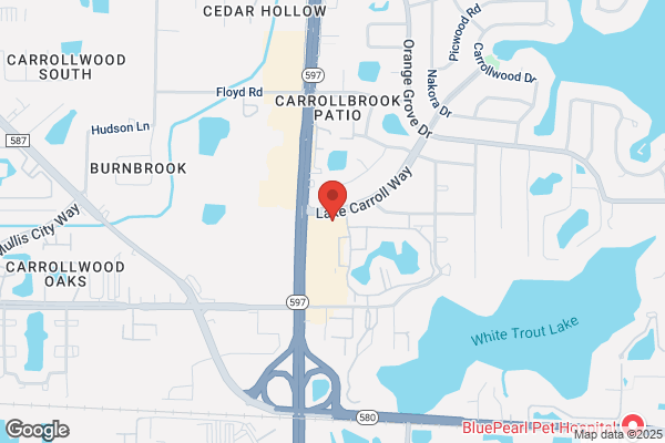 Carrollwood Laundromat & Economy Dry Cleaning