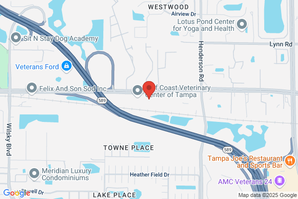 Tampa Divorce: Family Law & Divorce Lawyer