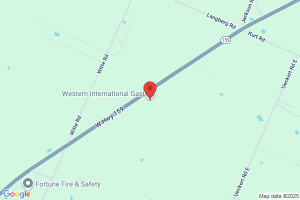 Western International Gas & Cylinders Inc