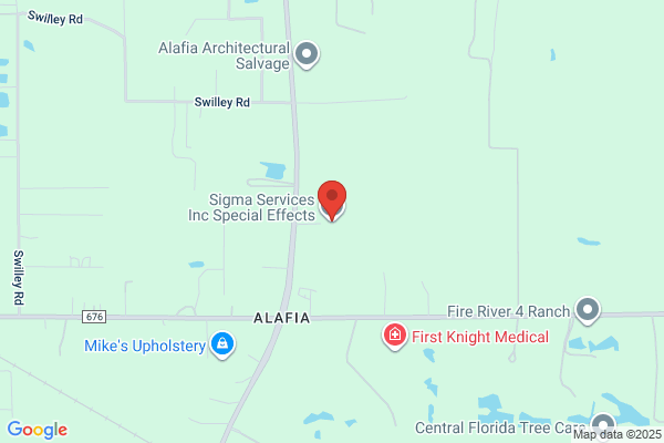 Zigmont Magic F X Inc