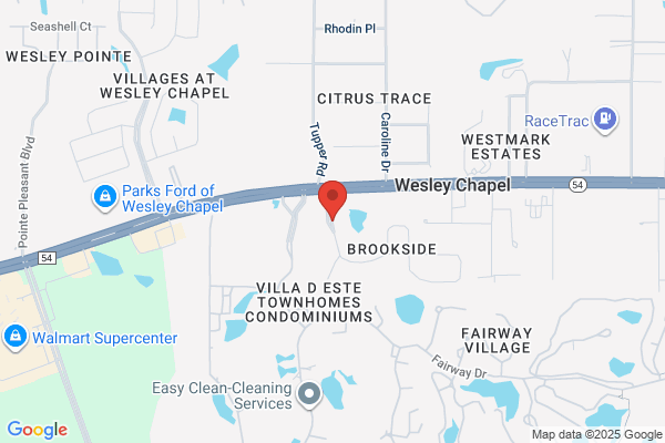 New Tampa Neighborhood News