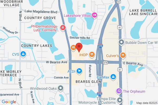 Elevate Martial Arts North Tampa
