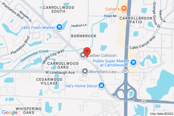 Carrollwood Blackbelt