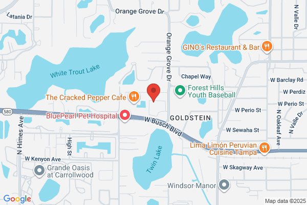 FLORIDA TMS CLINIC™ - Tampa TMS Therapy Center