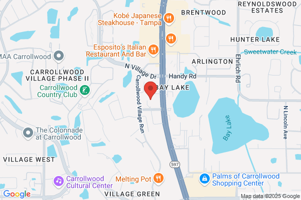 Carrollwood Village Executive Center