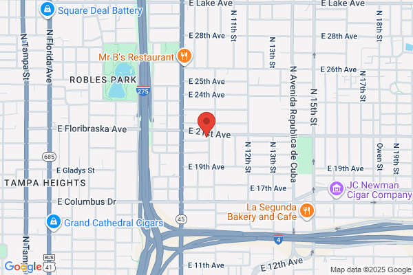 A1 Bed Bug Exterminator Tampa