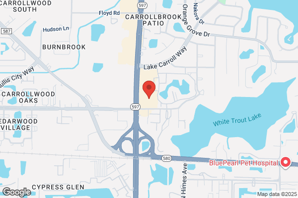 Publix Pharmacy at Carrollwood Shopping Center
