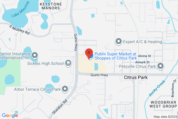 Publix Pharmacy at Shoppes of Citrus Park