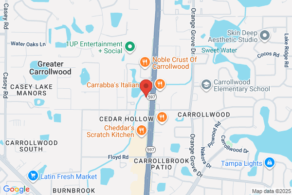 Carrollwood Copy Center and Printing Inc