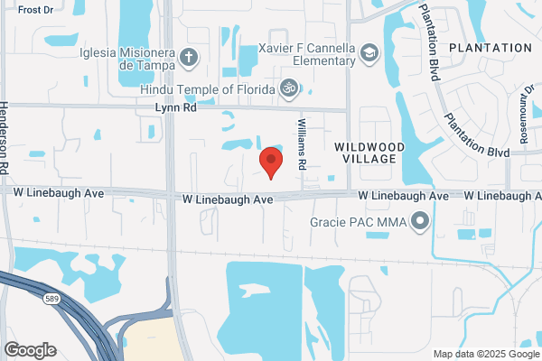 All Pro Plumbing Tampa