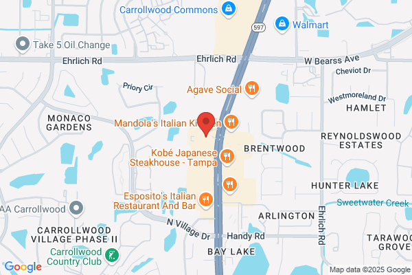 Yassandra Guerra Tampa Realtor Coldwell Banker