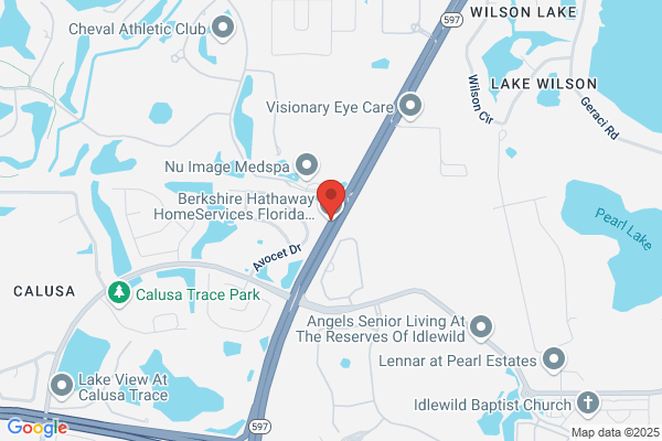 BuyLuxe Group | BHHS Florida Properties Group