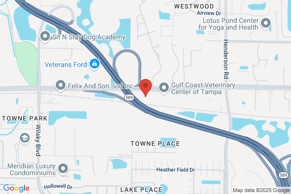 Era Gulf Coast Realty