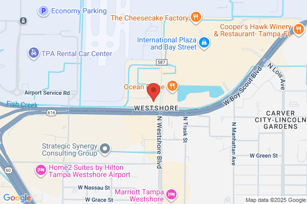 Day Translations, Tampa