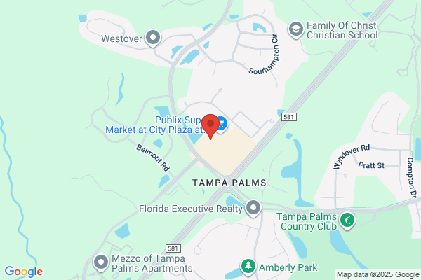 Carrollwood Travelworld