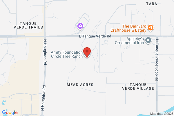 Amity Foundation Circle Tree Ranch