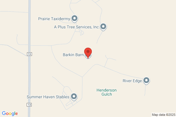 Barkin Garvins Dog Daycare