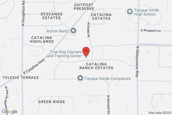 Kennel Comfort Pet Motel and Dog Training Tucson