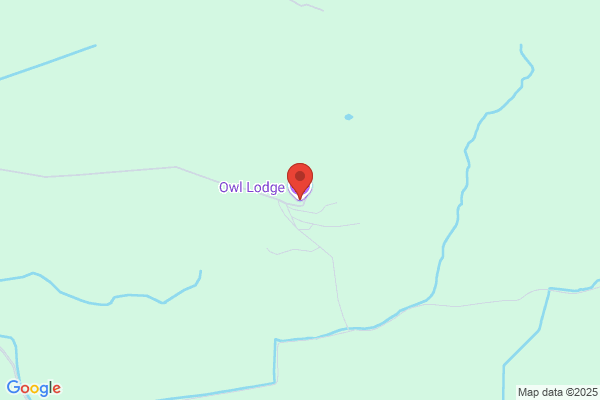 Owl Lodge