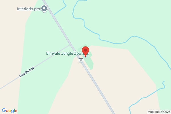 Jungle Zoo