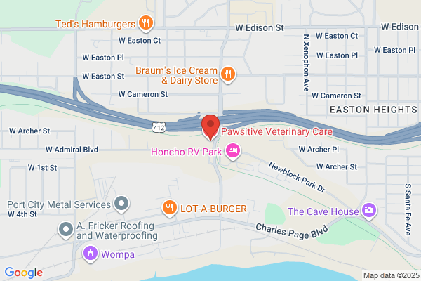 Pawsitive Veterinary Care