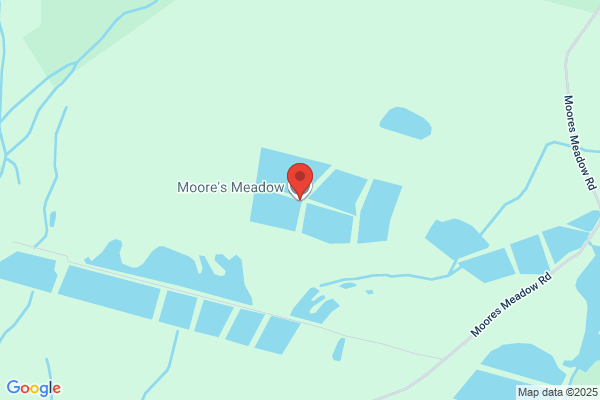 Mane Point Farm
