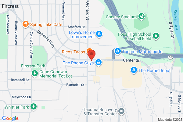 Little Holland Drive In