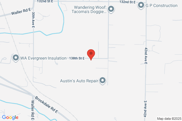 Lady Bug Services