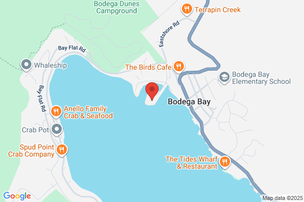 Reel Magic Sportfishing