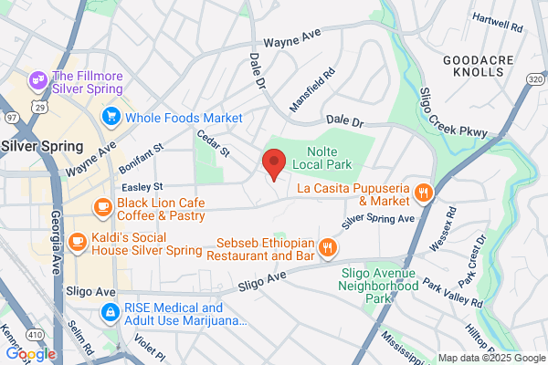Silver Spring House Apartments