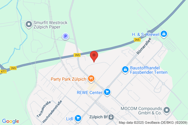European Auto Service