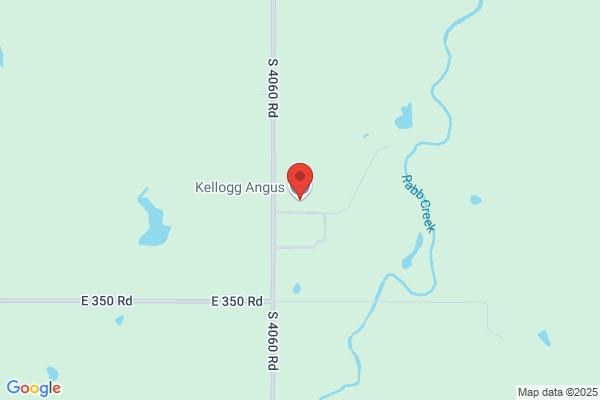 Kellogg Engineering
