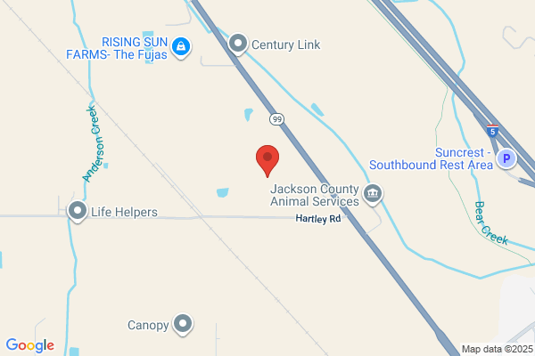 Pump Pipe & Tank Services