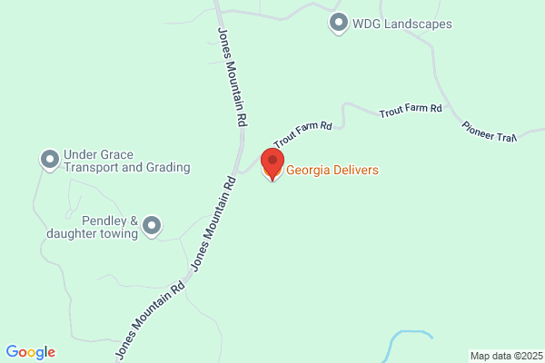 Georgia Delivers