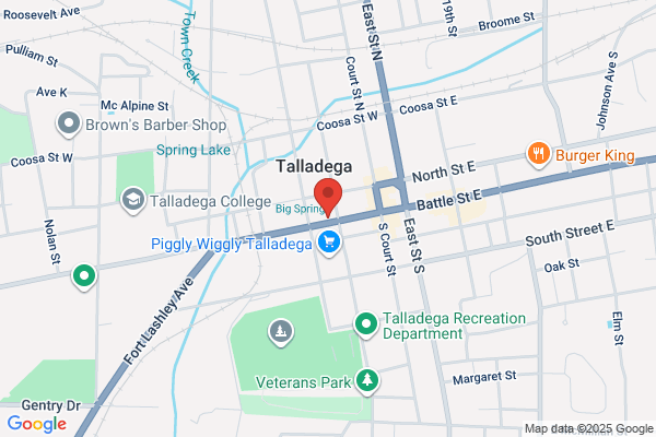 Shear Elegance