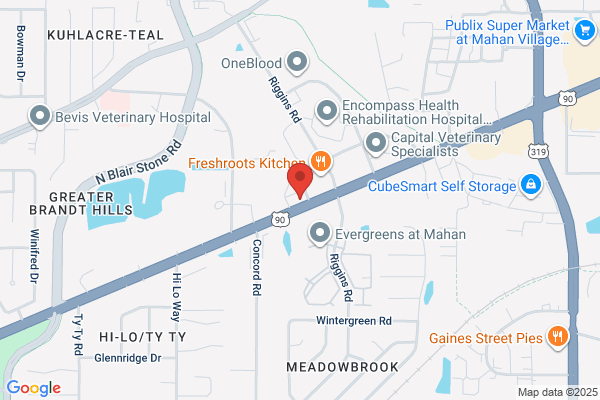 Area Agency On Aging For North Florida Inc