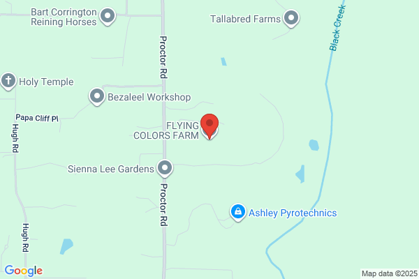 Flying Colors Farm