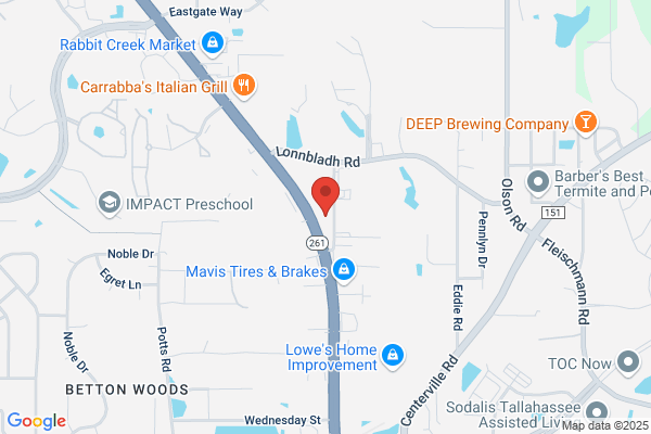 Advance Auto Parts