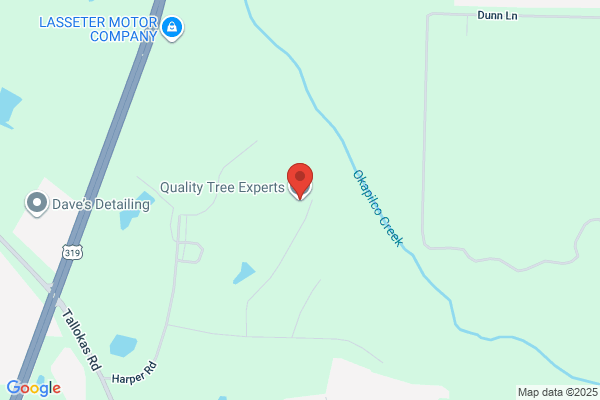 Quality Tree Solutions
