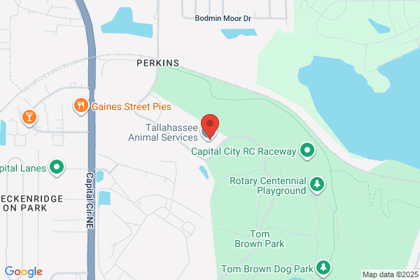 Animal Shelter, Tallahassee-Leon Community, Animal Service Center, Adoption/Control