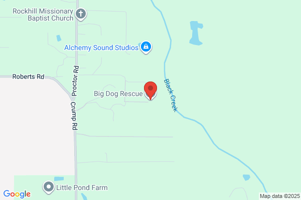 Big Dog Rescue